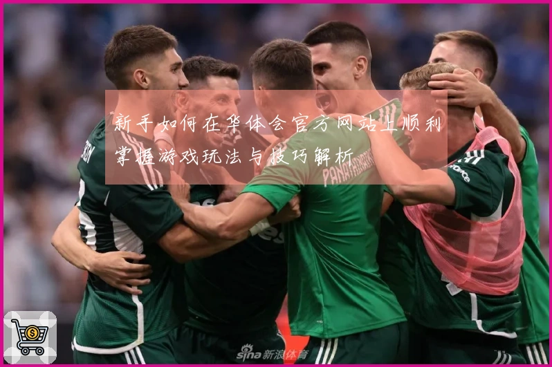 新手如何在华体会官方网站上顺利掌握游戏玩法与技巧解析