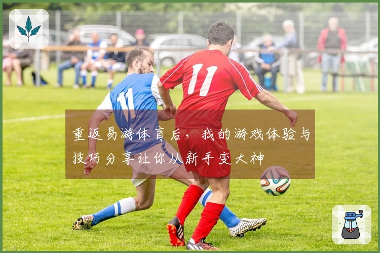 重返易游体育后，我的游戏体验与技巧分享让你从新手变大神