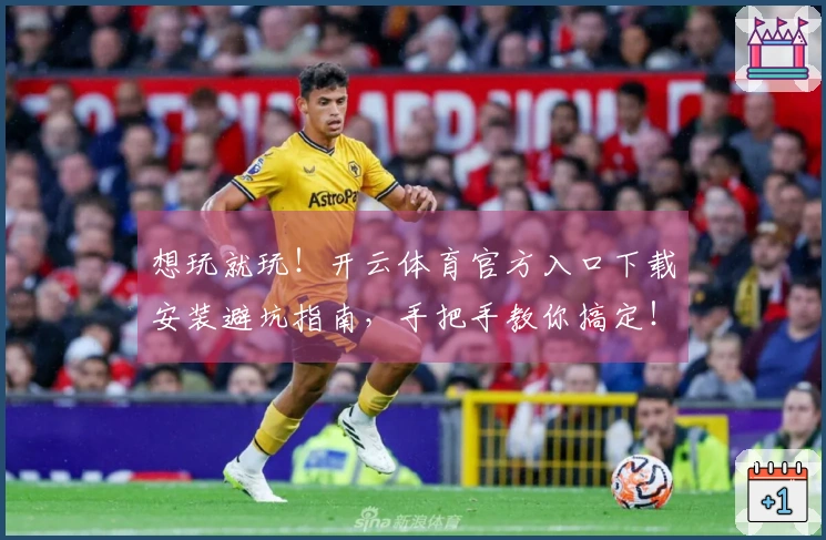 想玩就玩！开云体育官方入口下载安装避坑指南，手把手教你搞定！